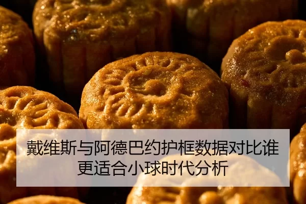 戴维斯与阿德巴约护框数据对比谁更适合小球时代分析