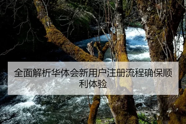 全面解析华体会新用户注册流程确保顺利体验