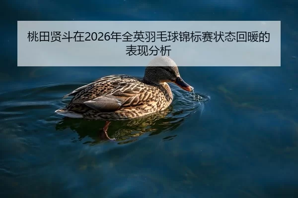 tao-tian-xian-dou-zai-nian-quan-ying-yu-mao-qiu-jin-biao-sai-zhuang-tai-hui-nuan-de-biao-xian-fen-xi-2-420.jpg
