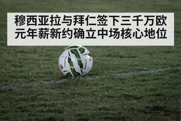 soccer ball on grass